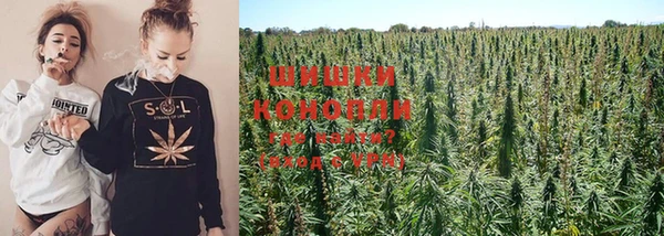 каннабис Осинники